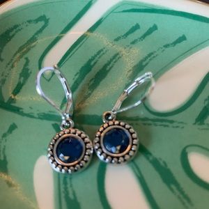 Blue lever back earrings